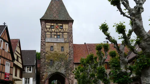 Bergheim sera peut-être le nouveau village préféré des français ! 